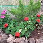 Apartamento Elianthos