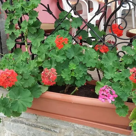 Appartement Elianthos *