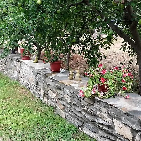 Elianthos Appartement *