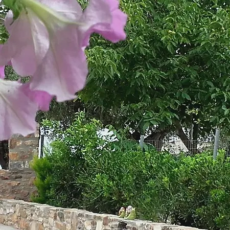 Elianthos