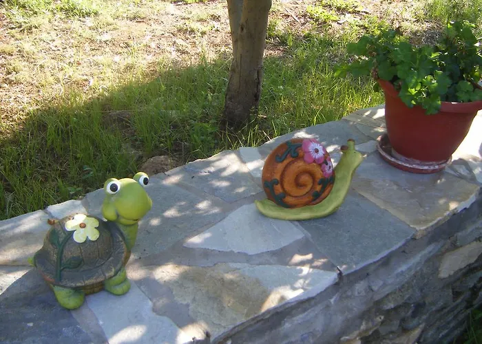 Elianthos * Σκάλα Καλλιράχης