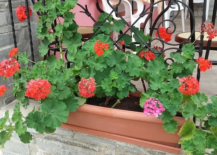 Διαμέρισμα Elianthos *